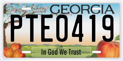 GA license plate PTE0419