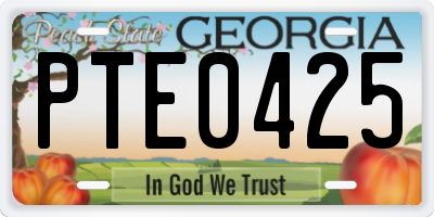 GA license plate PTE0425