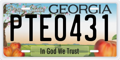 GA license plate PTE0431