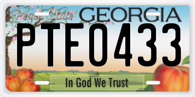 GA license plate PTE0433