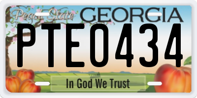 GA license plate PTE0434