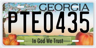 GA license plate PTE0435