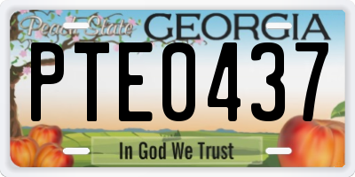GA license plate PTE0437