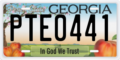 GA license plate PTE0441