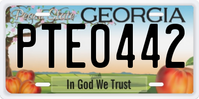 GA license plate PTE0442