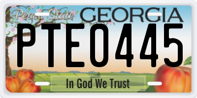 GA license plate PTE0445