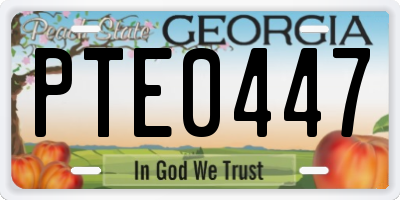 GA license plate PTE0447