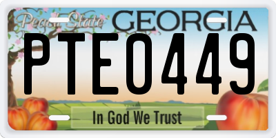 GA license plate PTE0449