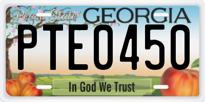 GA license plate PTE0450