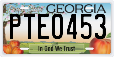 GA license plate PTE0453