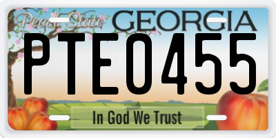GA license plate PTE0455
