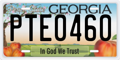 GA license plate PTE0460
