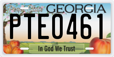 GA license plate PTE0461