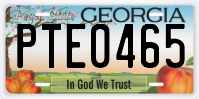 GA license plate PTE0465