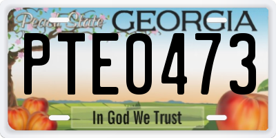 GA license plate PTE0473