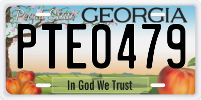 GA license plate PTE0479