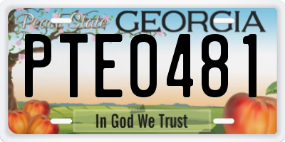 GA license plate PTE0481