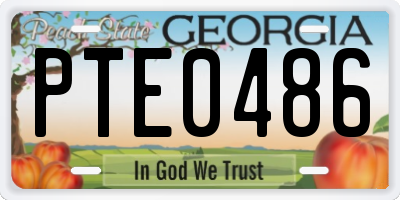 GA license plate PTE0486