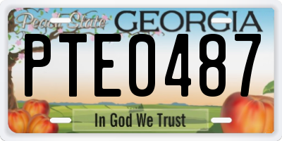 GA license plate PTE0487