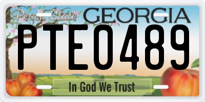 GA license plate PTE0489