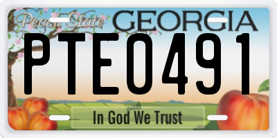 GA license plate PTE0491