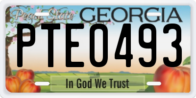 GA license plate PTE0493