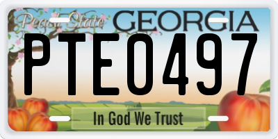 GA license plate PTE0497