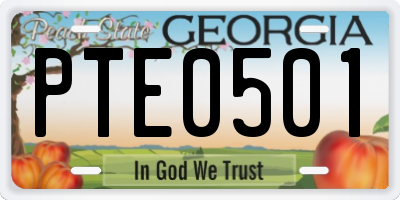 GA license plate PTE0501
