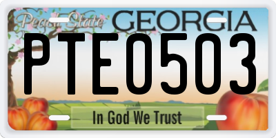 GA license plate PTE0503
