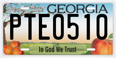 GA license plate PTE0510
