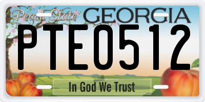 GA license plate PTE0512