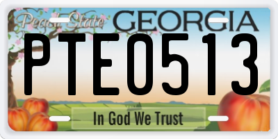 GA license plate PTE0513