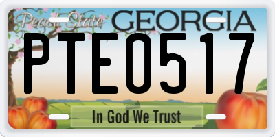 GA license plate PTE0517