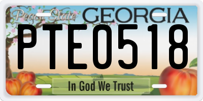 GA license plate PTE0518