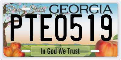 GA license plate PTE0519