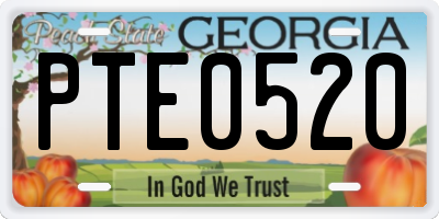 GA license plate PTE0520