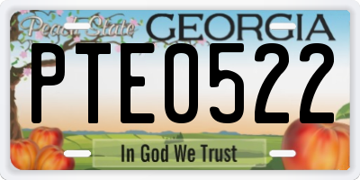 GA license plate PTE0522