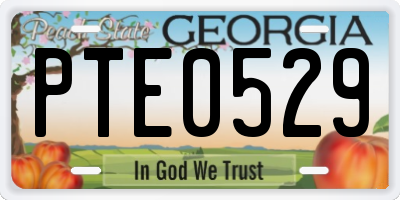 GA license plate PTE0529