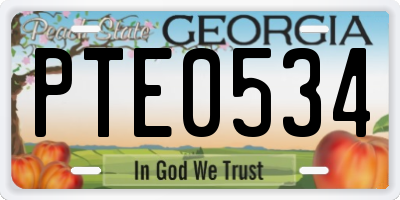 GA license plate PTE0534