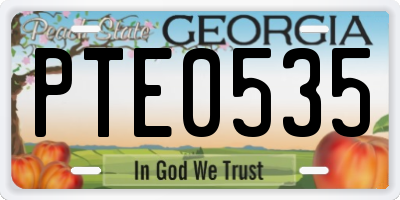 GA license plate PTE0535