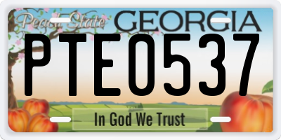GA license plate PTE0537