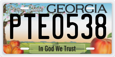 GA license plate PTE0538