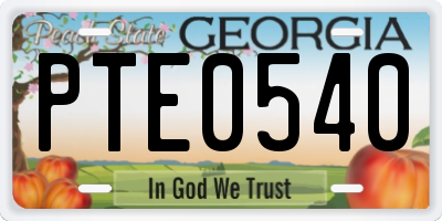 GA license plate PTE0540