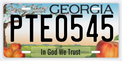 GA license plate PTE0545