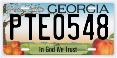 GA license plate PTE0548