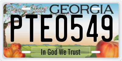 GA license plate PTE0549