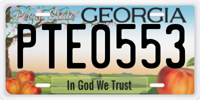 GA license plate PTE0553
