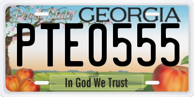 GA license plate PTE0555