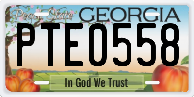 GA license plate PTE0558