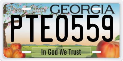 GA license plate PTE0559